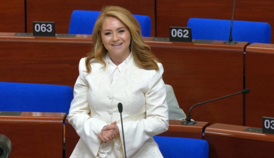 TÜRKİYE’MİZİN VE ERGENE’MİZİN SESİNİ AVRUPA’DA YÜKSELTTİK!