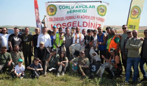 Çorlu`da 14. Geleneksel Fermalı Av Köpekleri Yarışması Heyecanı Yaşandı