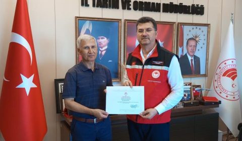 Emeklilik
