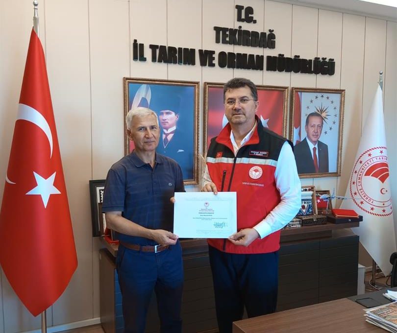 Emeklilik