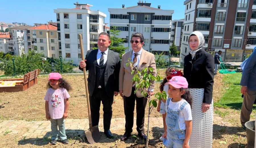 Selvi Ağca Kızılay Anaokulu Bahçesinde Kiraz Fidanları Toprakla Buluştu