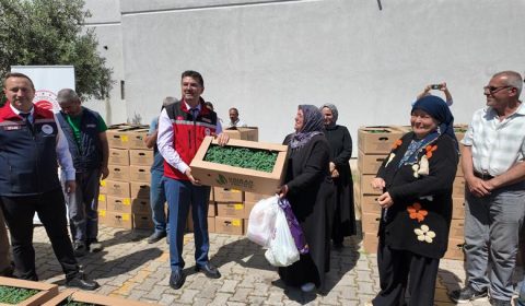 Tarım Arazilerinin Kullanımının Etkinleştirilmesi Projesi Kapsamında Yazlık Sebze Fidesi Dağıtımı Gerçekleştirildi