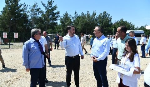 Vali Soytürk Sahipsiz Hayvan Doğal Yaşam Alanı’nda İncelemelerde Bulundu