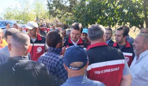 İl Müdürü AKSOY Dolu Yağışından Etkilenen Tarım Alanlarında İncelemelerde Bulundu